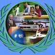 聯合國國際投資和跨國公司委員會