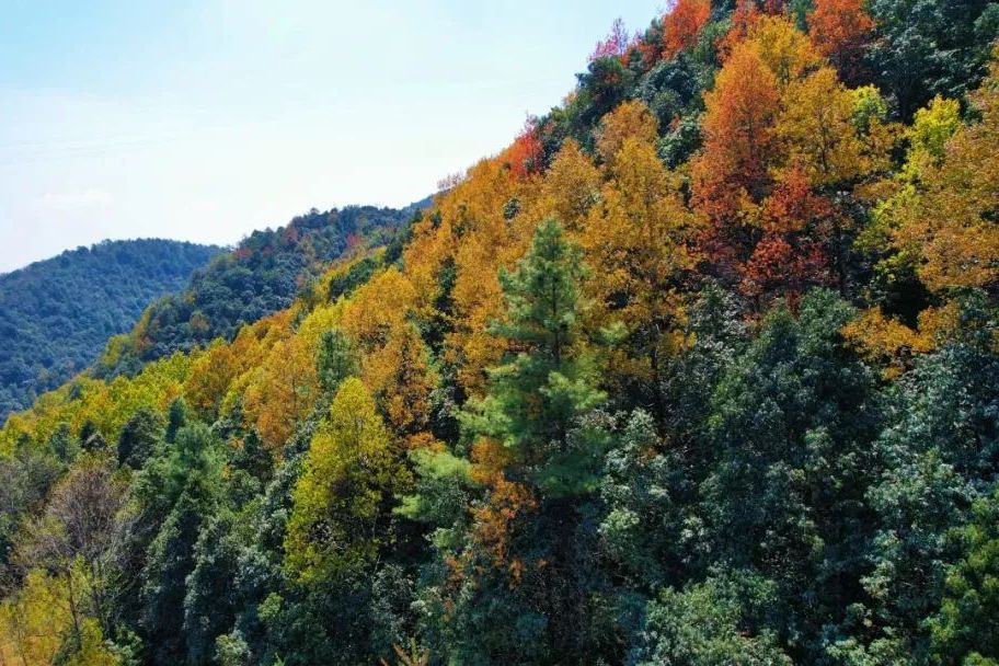 光樂村(雲南省麗江市古城區金安鎮下轄行政村) 光樂村(雲南省麗江市古城區金安鎮下轄行政村)