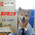 奧爾斯之光 奧爾斯之光