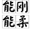 能剛能柔 能剛能柔