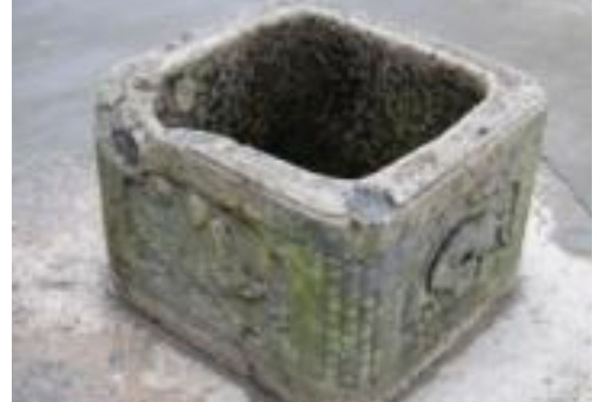 石井圈