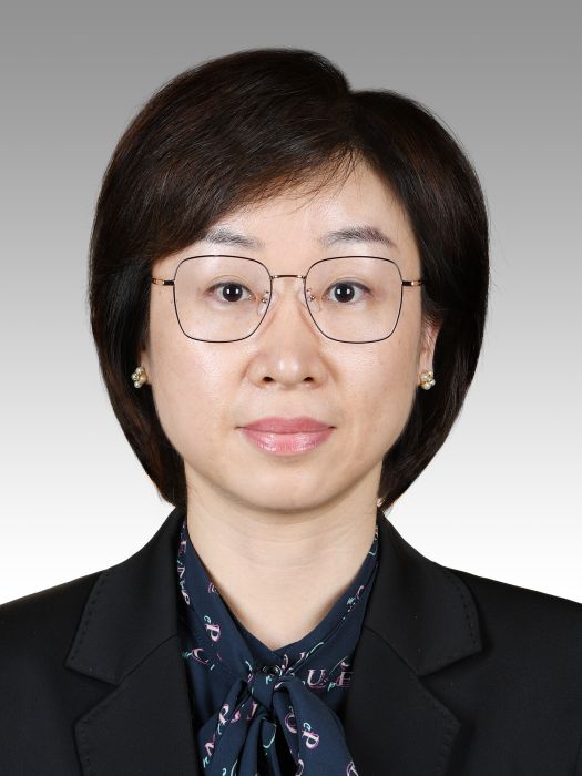 胡芳(上海市閔行區委常委、組織部部長) 胡芳(上海市閔行區委常委、組織部部長)