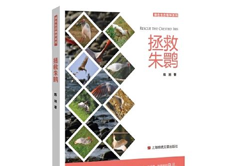 拯救朱䴉(2016年上海世紀出版股份有限公司發行中心(上海錦繡文章)出版的圖書) 拯救朱䴉(2016年上海世紀出版股份有限公司發行中心(上海錦繡文章)出版的圖書)