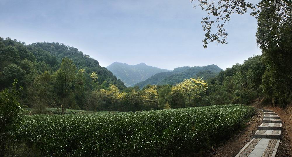 西山森林公園(杭州市)