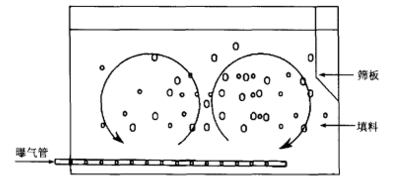 圖1 移動生物膜反應器