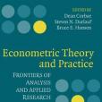 Econometric Theory and Practice(圖書) Econometric Theory and Practice(圖書)