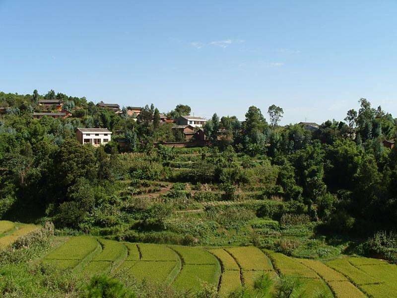 石子沖村