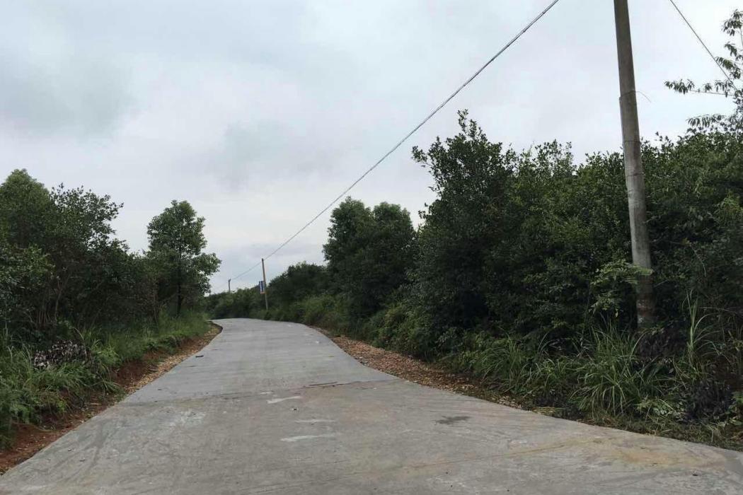 公坪路 公坪路