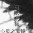 鳳凰妖花 鳳凰妖花