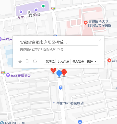 桐城路172號 桐城路172號