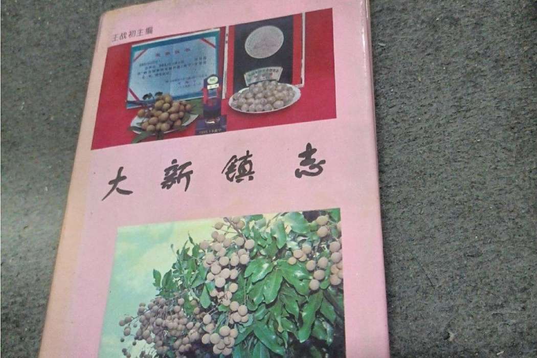 大新鎮志 大新鎮志