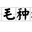 顛毛種種