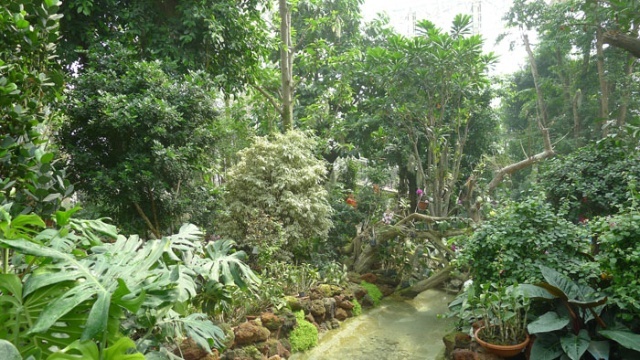 徐州植物園