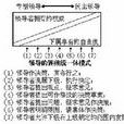 領導行為連續體理論