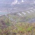 蜂岩鎮 蜂岩鎮