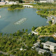 白鹿洲公園 白鹿洲公園