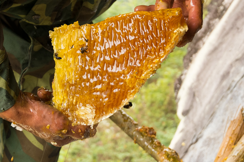 岩蜂蜜