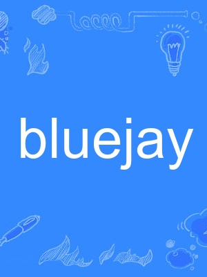 bluejay bluejay