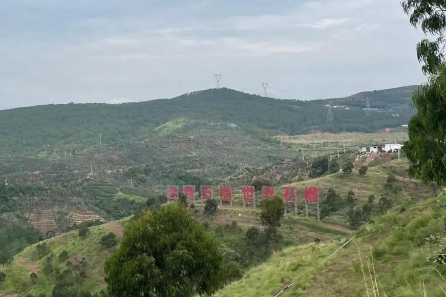 銅礦村(四川省會理市鹿廠鎮下轄村) 銅礦村(四川省會理市鹿廠鎮下轄村)