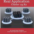 Ein Strukturierter Einstieg in Oracle Real Application Cluster 11g R2 Ein Strukturierter Einstieg in Oracle Real Application Cluster 11g R2
