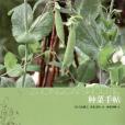 一周一練(2008年浙江少兒出版的圖書) 一周一練(2008年浙江少兒出版的圖書)