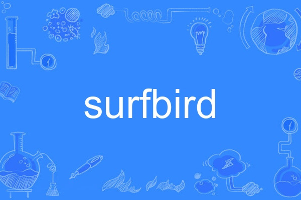 surfbird surfbird
