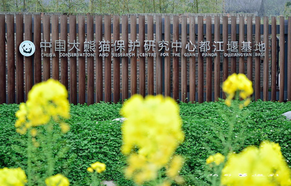 中國大熊貓保護研究中心(中國保護大熊貓研究中心)