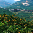 劉家營村(雲南省玉溪市易門縣龍泉鎮蔡營村劉家營村)