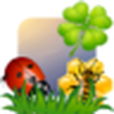 Magic Alchemist Springtime Magic Alchemist Springtime