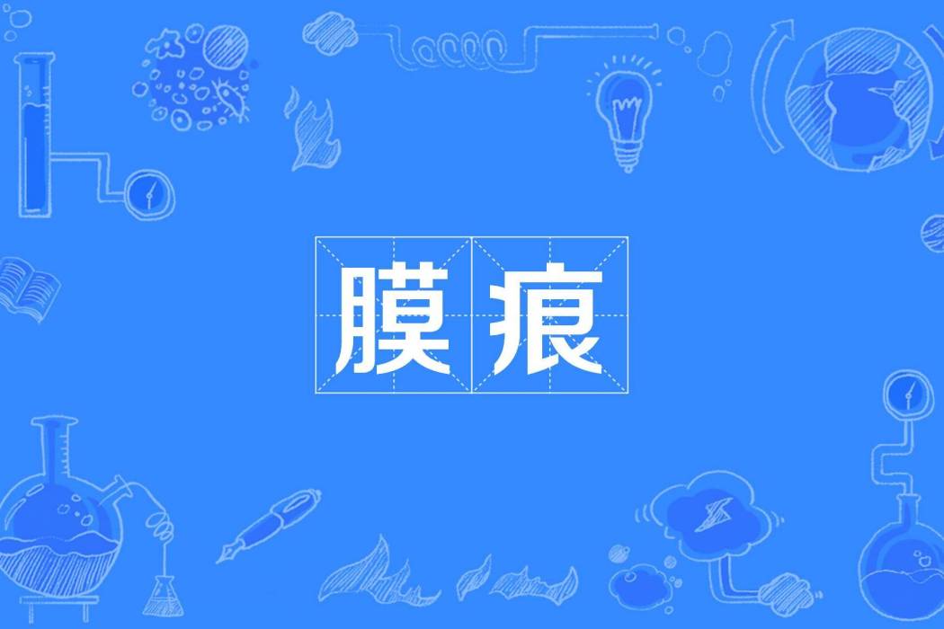 膜痕 膜痕