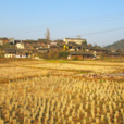 葛圩村(安徽阜陽市潁上縣劉集鄉下轄村) 葛圩村(安徽阜陽市潁上縣劉集鄉下轄村)