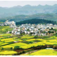 西山鄉(四川越西縣西山鄉) 西山鄉(四川越西縣西山鄉)