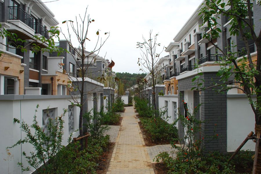 龍廷村(山東省泰安市新泰市龍廷鎮下轄村) 龍廷村(山東省泰安市新泰市龍廷鎮下轄村)