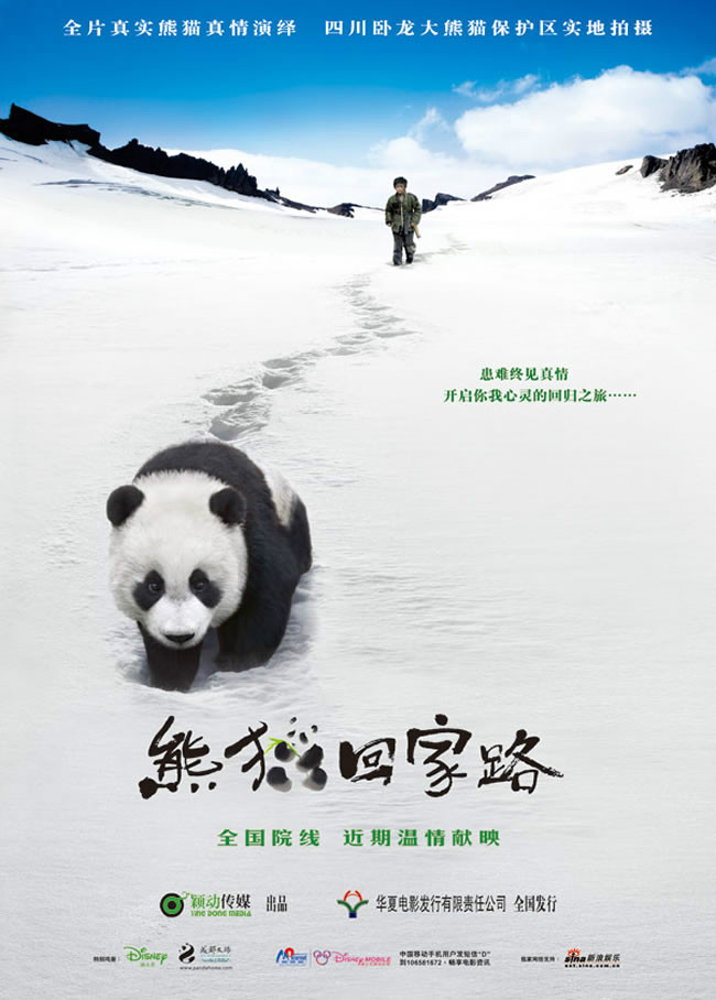 熊貓回家路(2009年俞鐘執導電影)