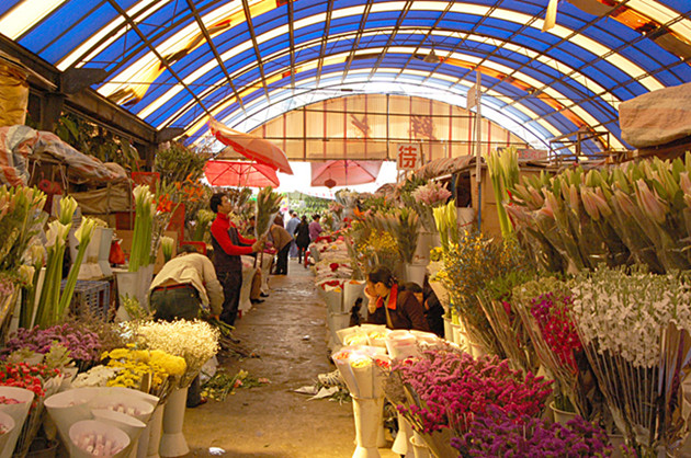 曹莊花卉市場
