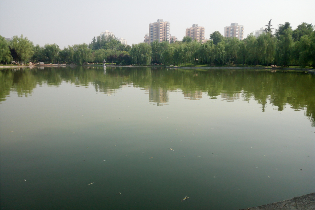 大興障湖 大興障湖