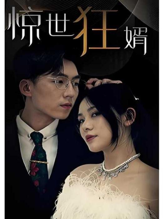 驚世狂婿 驚世狂婿