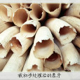 象牙屑 象牙屑