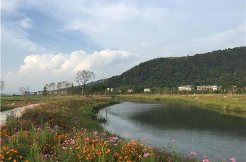 奉化曹村 奉化曹村