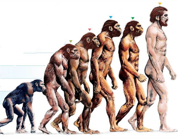人類進化史