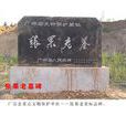 張果老墓 張果老墓