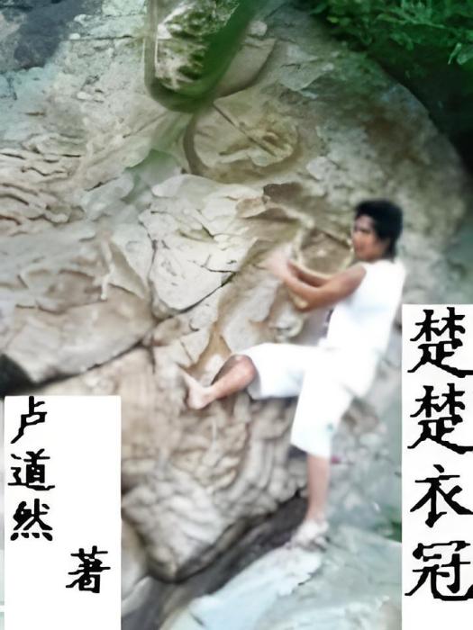 楚楚衣冠 楚楚衣冠