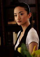 黃金地帶(2009年羅嘉良、王姬主演電視劇)