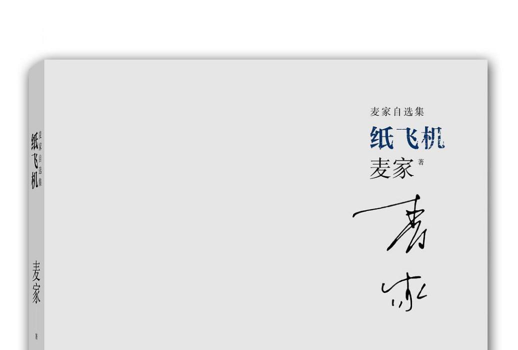 紙飛機(2014年江蘇文藝出版社出版圖書) 紙飛機(2014年江蘇文藝出版社出版圖書)