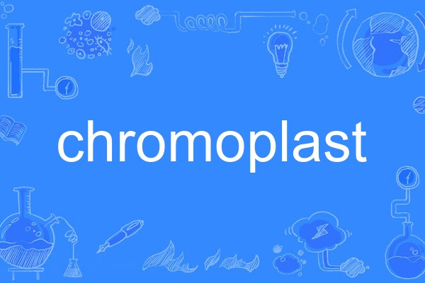 chromoplast chromoplast