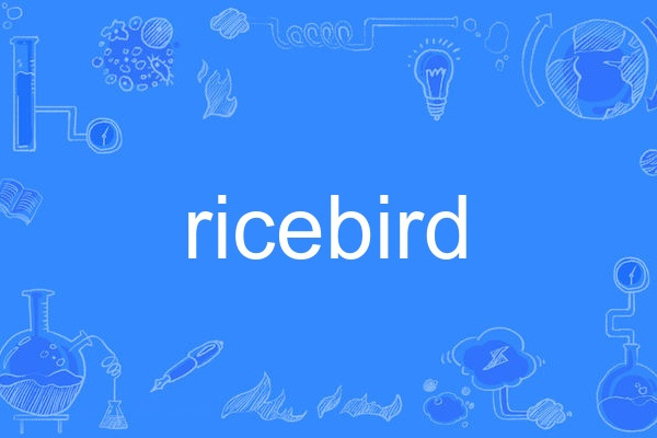 ricebird ricebird