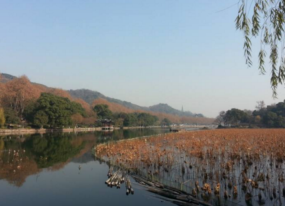 西林西村 西林西村