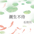 潮生不待 潮生不待