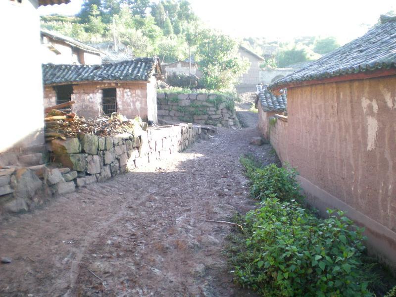 則八村 則八村