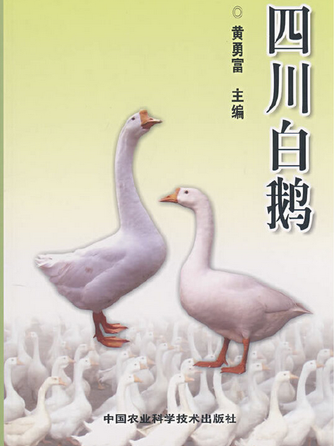 四川白鵝(2008年中國農業科學技術出版社出版的圖書) 四川白鵝(2008年中國農業科學技術出版社出版的圖書)